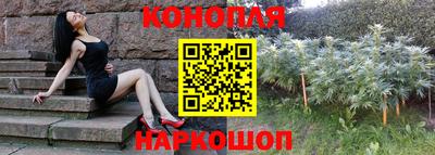 spice Гуково