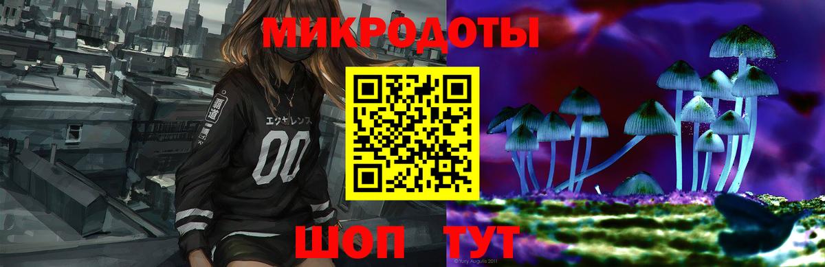 Елизово  Псилоцибиновые грибы MAGIC MUSHROOMS  Галлюциногенные грибы прущие грибы  Вход с VPN 